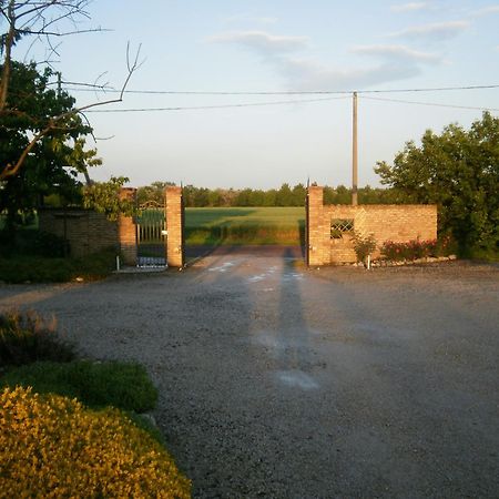 Agriturismo La Cascinetta Pieve di Cento Bagian luar foto
